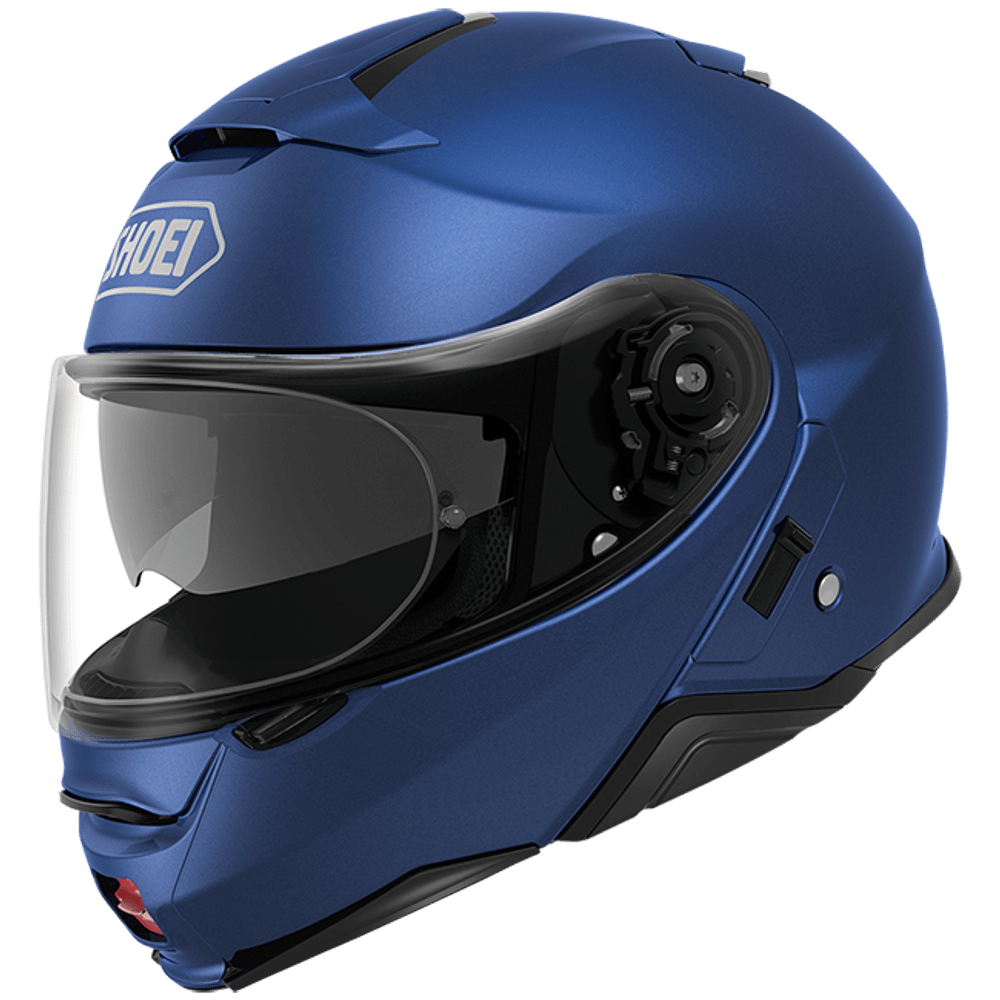 neoteciisummary4 neoteciisummary4